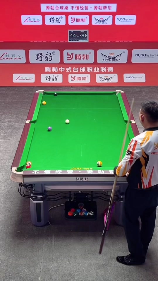 的卓越技艺 的卓越技艺