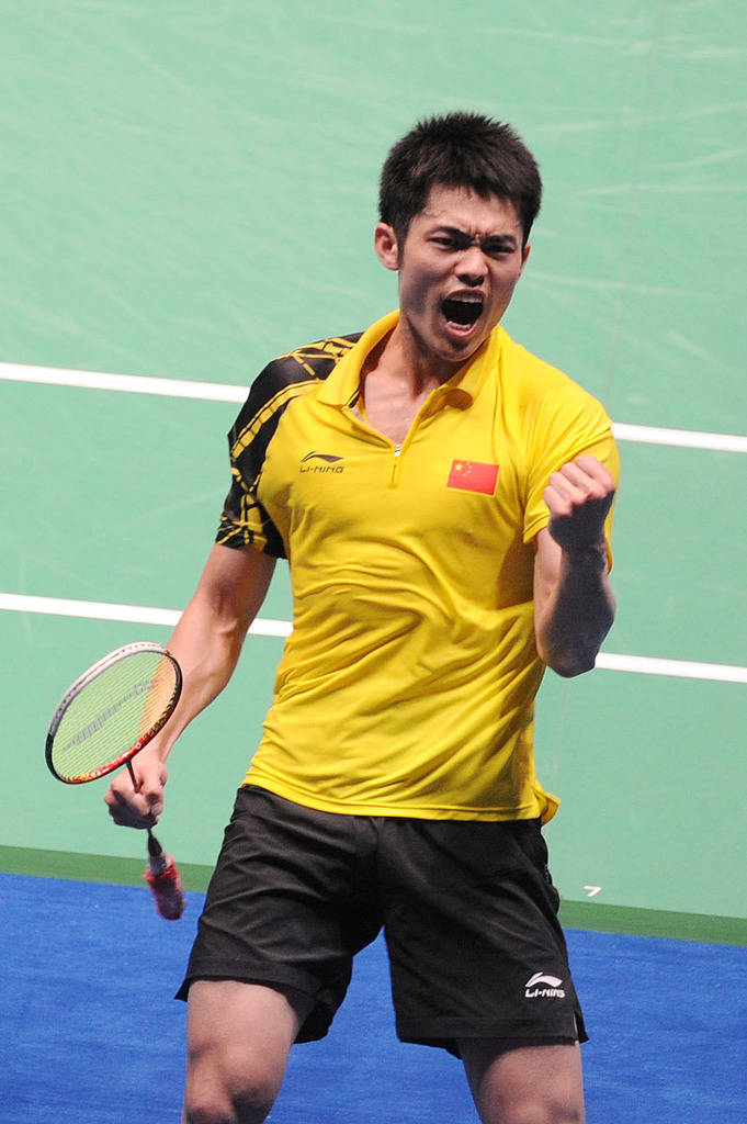 庞大的观众 庞大的观众