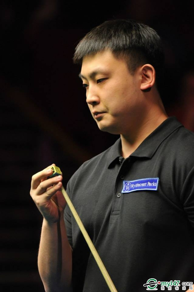 由泳项目的 由泳项目的