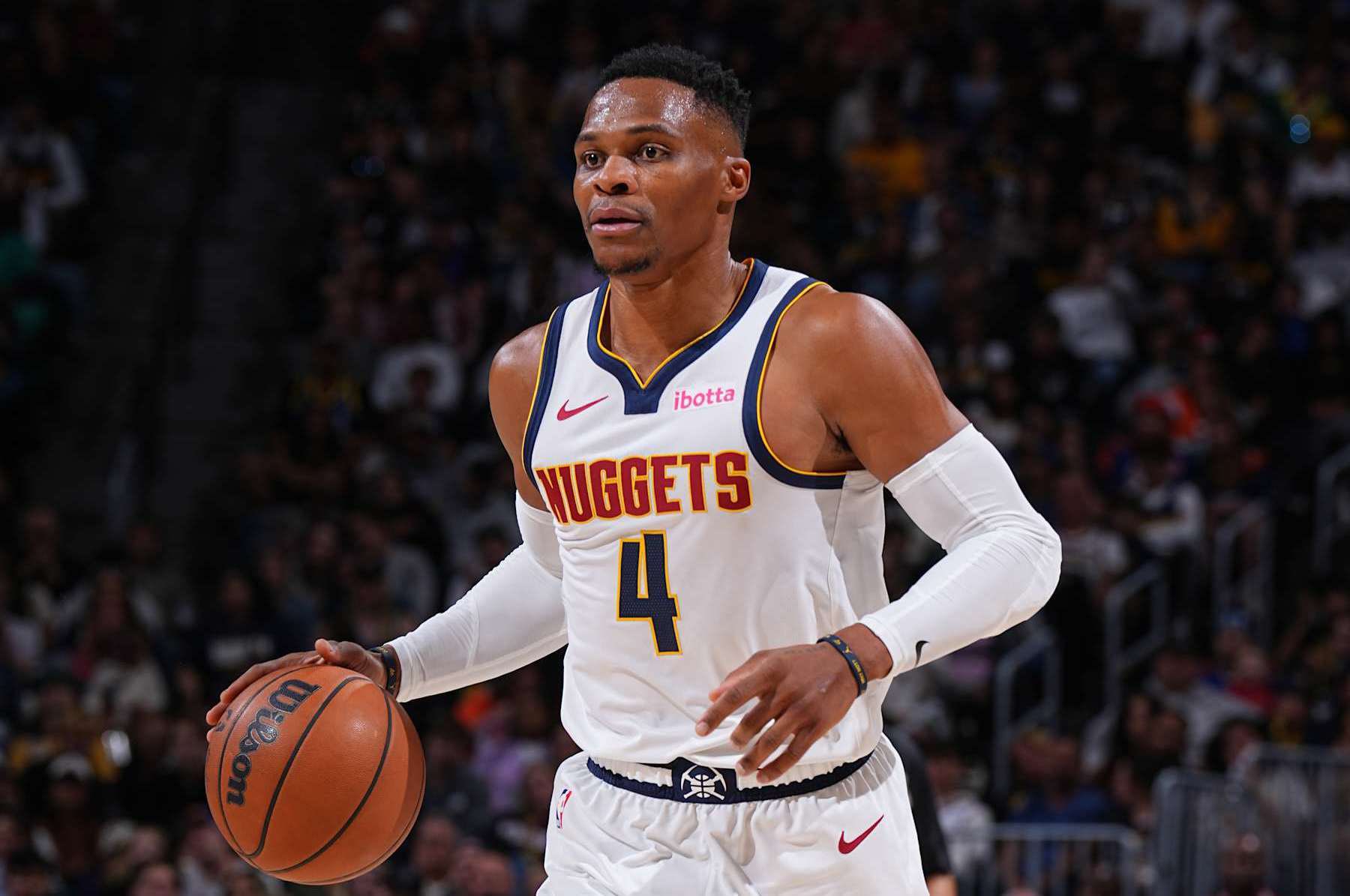 如何控住猫 如何控住猫